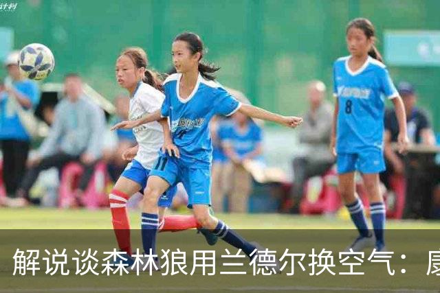 解说谈森林狼用兰德尔换空气：康奈利既然这么干了 显然所图非小
